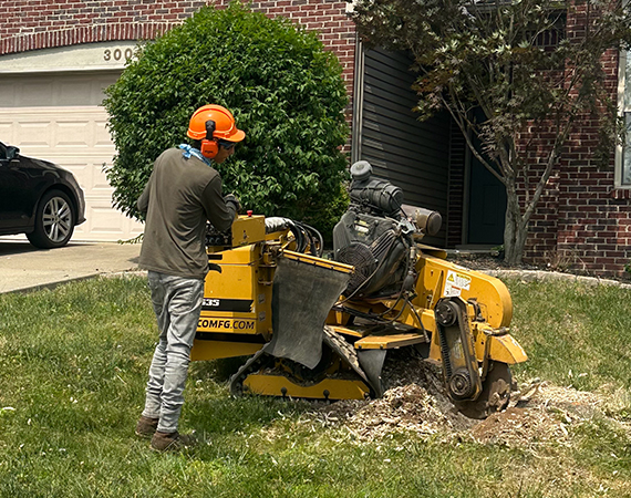 service-stump-grinding